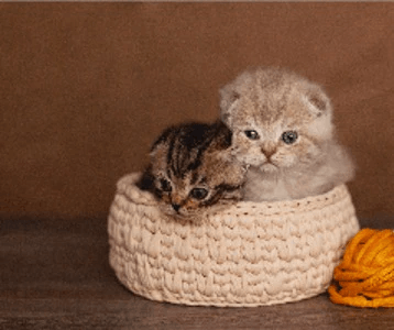 T-shirt Yarns - Meri Wool Art Wholesale